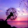@1028666039