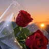 @1030034863