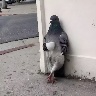 @1038052374