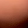 @1049526436