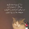 @1057050762
