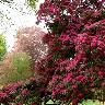 @1066991622
