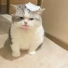 @1082730778