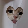 @1092971893
