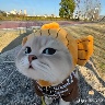 @1111330281