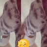 @1120026756