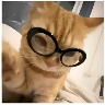 @1132917579