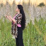 @275580664