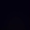 @336077916