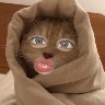 @747305166