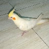 @866270993