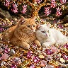 @905055027