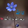@919788604