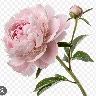 @933899129