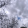@952249292