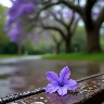 @971611899