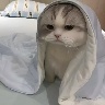 @jessie7jj