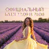 @Lizka_spb