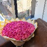 @utodinanwa