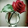 @baeutifulfamily