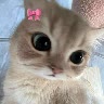 @heyitsjecy