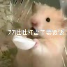 @kt7788999