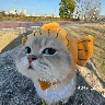 @t_3859