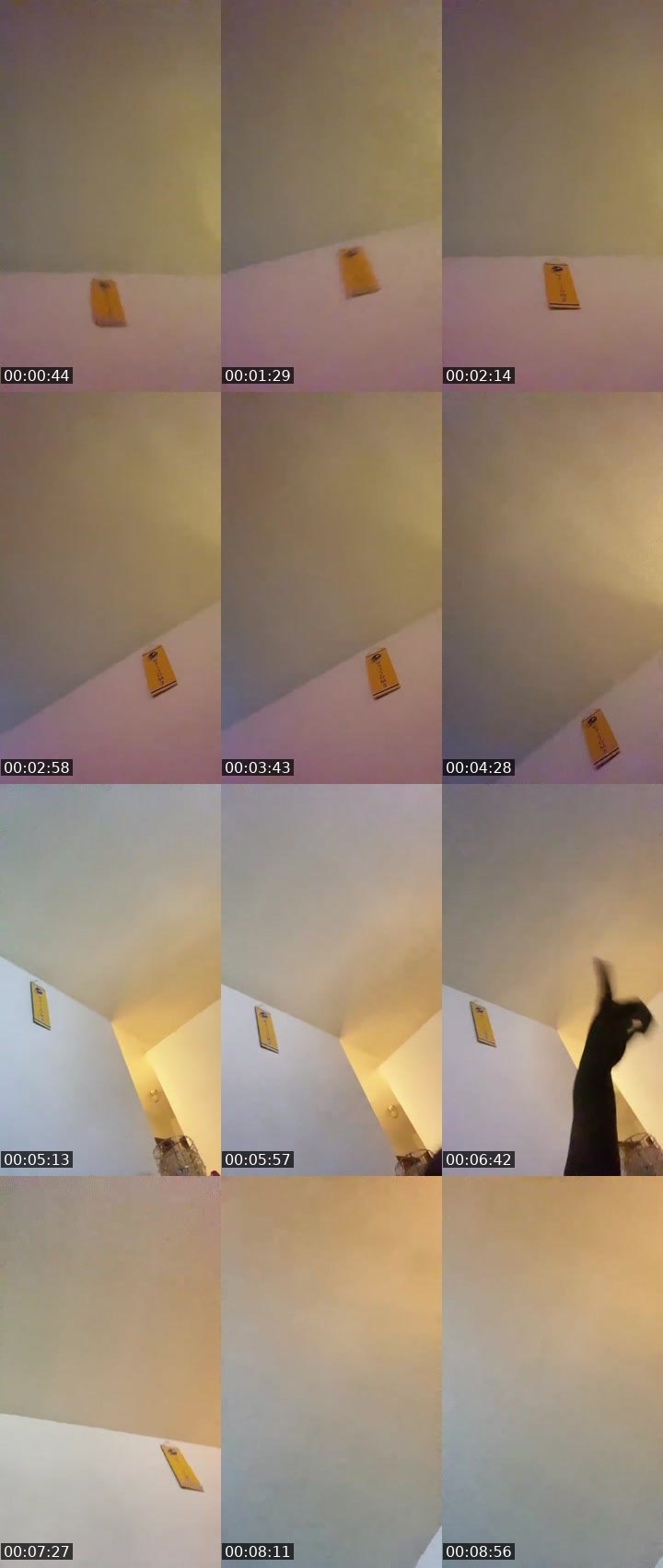 Bigo live: lol by @123sexylove