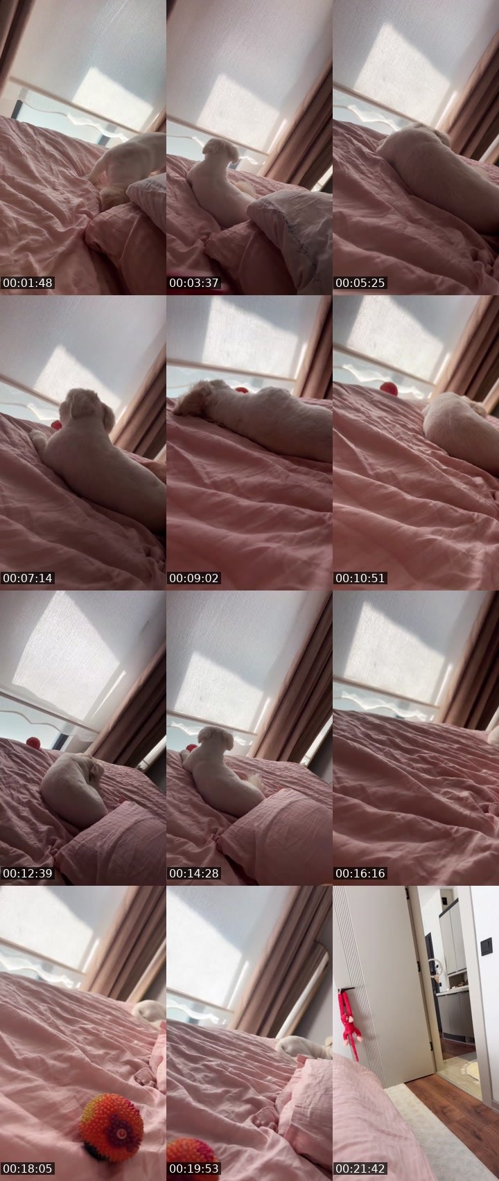 Bigo live: #Cutey En şanslı yayın 🧿 by @nisanuyy