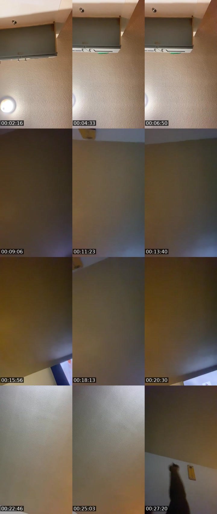 Bigo live: I’m back lol by @123sexylove