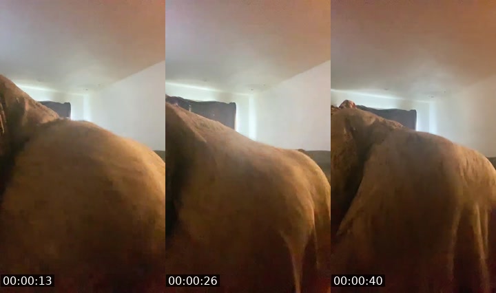 Bigo live: I’m back lol by @123sexylove