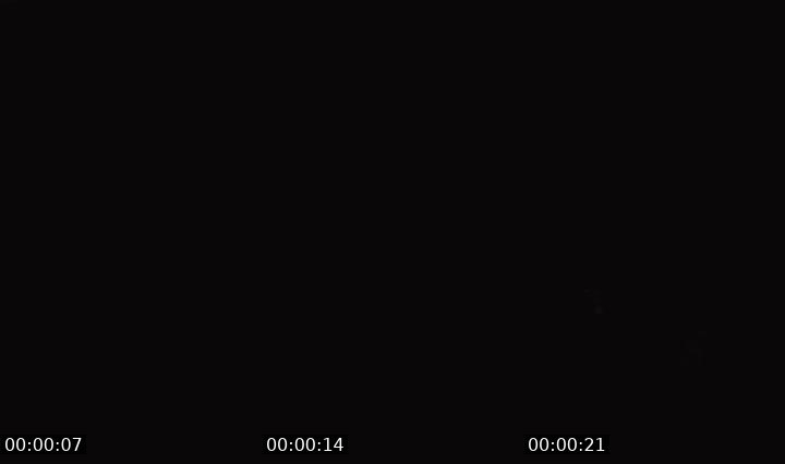 Bigo live: Jinglin by @385120674