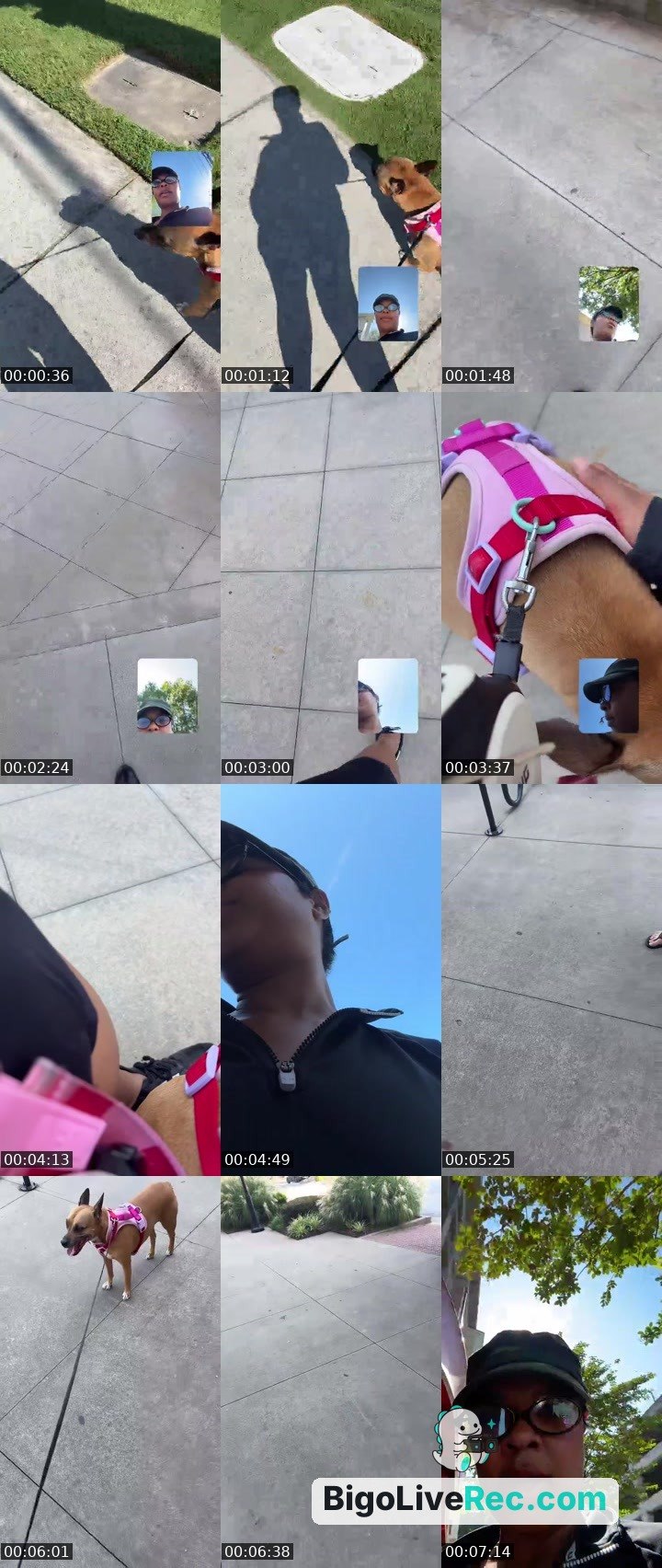 Bigo live: #BlackExcellenceAlways Come walk Sophie w / me🐕💕 by @Indiibby