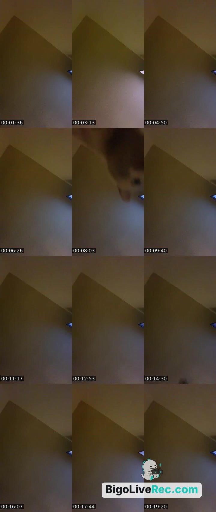 Bigo live: I’m back lol by @123sexylove
