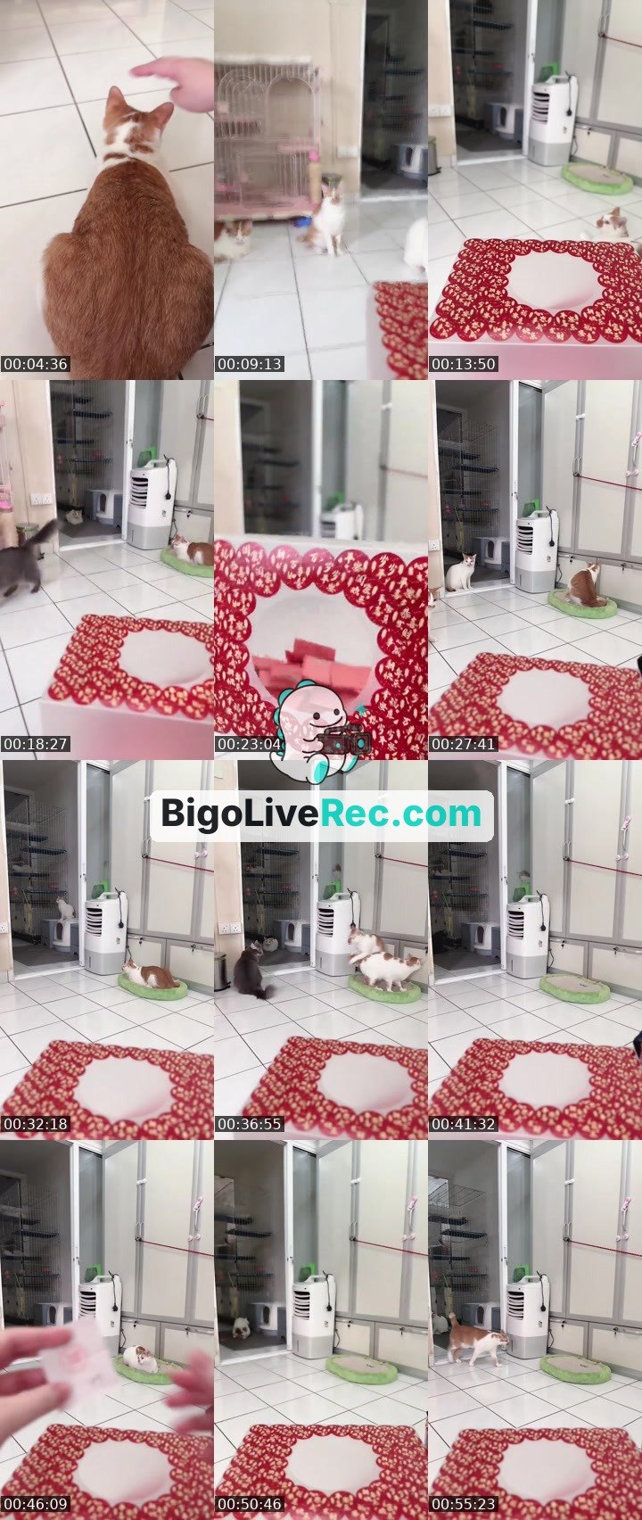 Bigo live: 到底谁会赢的大奖呢🤪💖🎮倒数中！ by @ak47_spicy