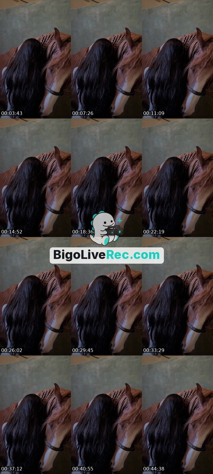 Bigo live: منورين ❤️ by @725374274