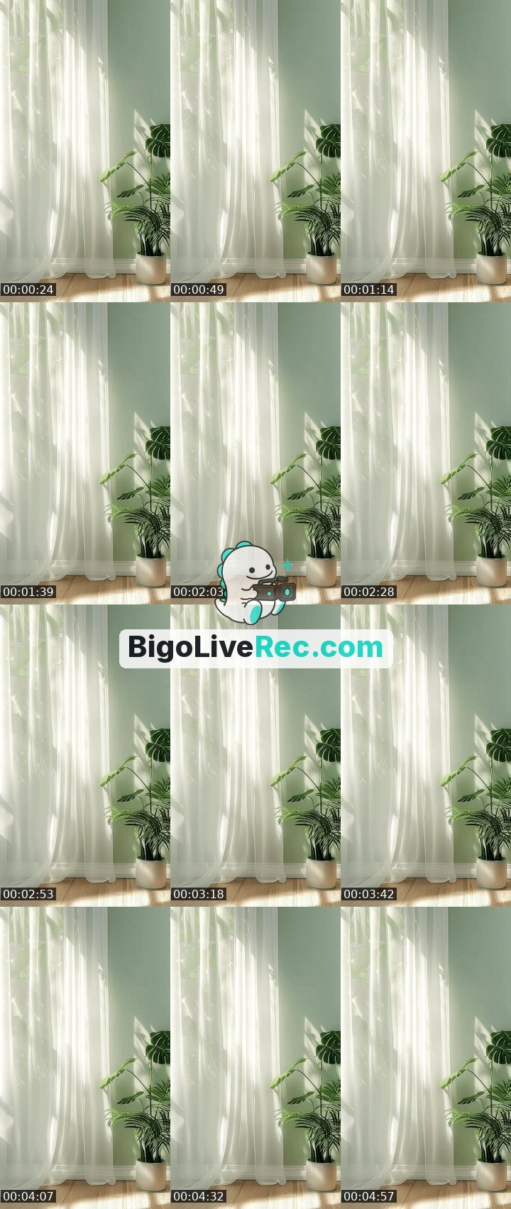 Bigo live: horas by @alinequeiroz.s